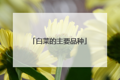 白菜的主要品种