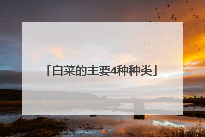 白菜的主要4种种类