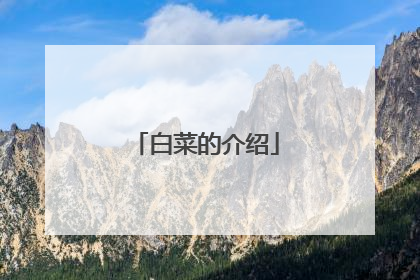 白菜的介绍