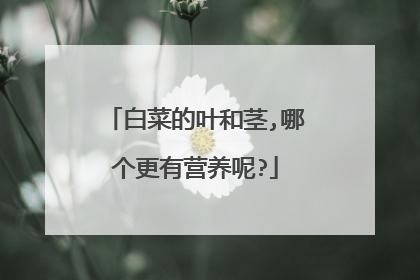 白菜的叶和茎,哪个更有营养呢?