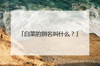 白菜的别名叫什么?