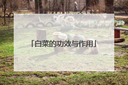 白菜的功效与作用