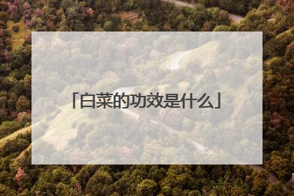 白菜的功效是什么