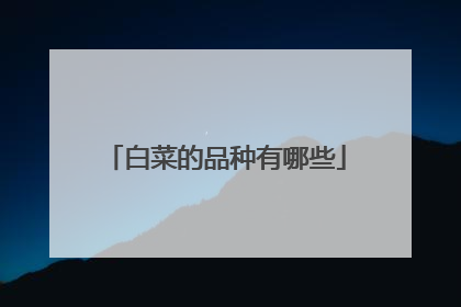 白菜的品种有哪些