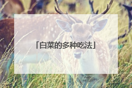 白菜的多种吃法