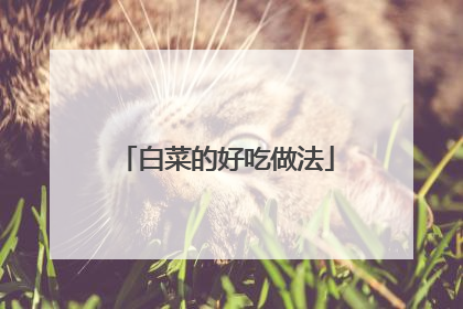 白菜的好吃做法