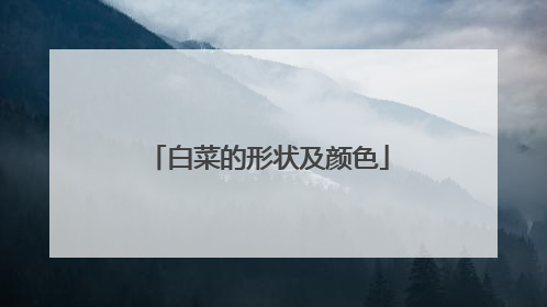 白菜的形状及颜色