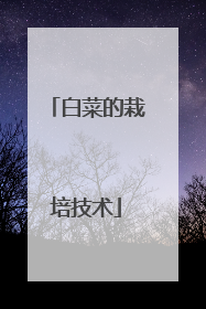 白菜的栽培技术