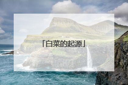 白菜的起源