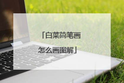 白菜简笔画怎么画图解