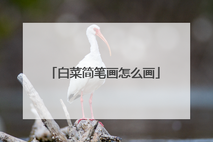 白菜简笔画怎么画