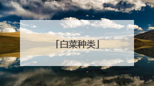 白菜种类