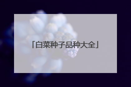 白菜种子品种大全