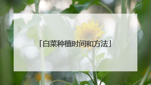 白菜种植时间和方法