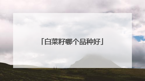 白菜籽哪个品种好