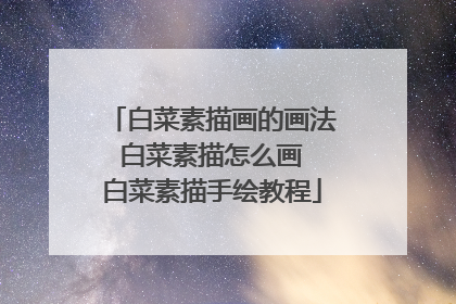 白菜素描画的画法 白菜素描怎么画 白菜素描手绘教程