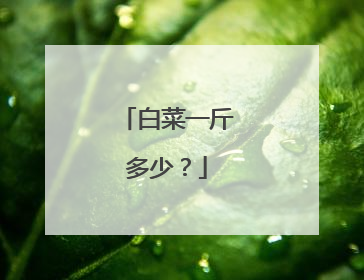 白菜一斤多少?