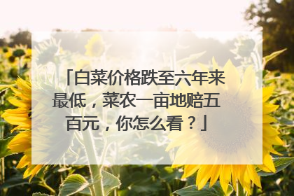 白菜价格跌至六年来最低,菜农一亩地赔五百元,你怎么看?