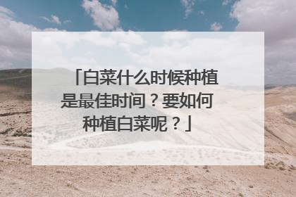 白菜什么时候种植是最佳时间?要如何种植白菜呢?
