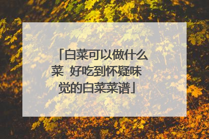白菜可以做什么菜 好吃到怀疑味觉的白菜菜谱