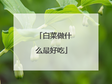 白菜做什么最好吃