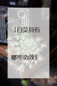 白菜具有哪些功效