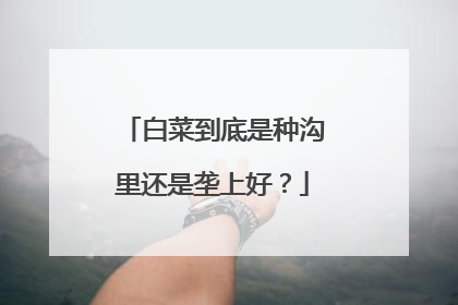 白菜到底是种沟里还是垄上好?