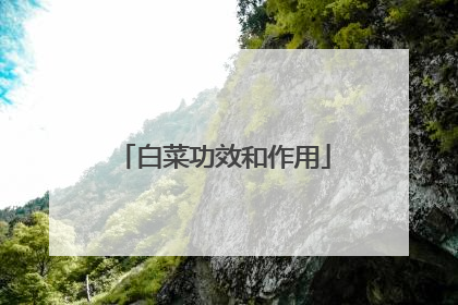 白菜功效和作用