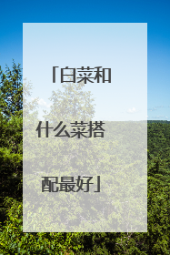 白菜和什么菜搭配最好