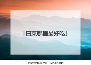 白菜哪里最好吃