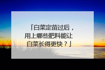 白菜定苗过后，用上哪些肥料能让白菜长得更快？