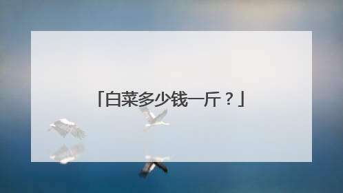 白菜多少钱一斤？