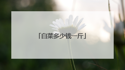 白菜多少钱一斤