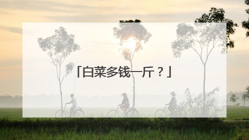 白菜多钱一斤?