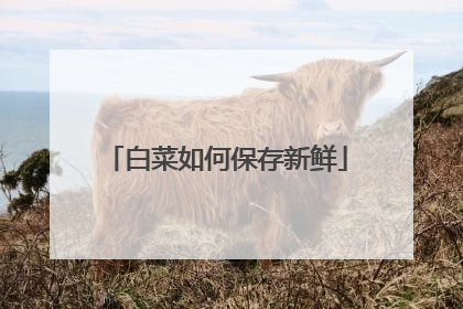 白菜如何保存新鲜