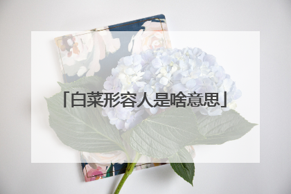白菜形容人是啥意思
