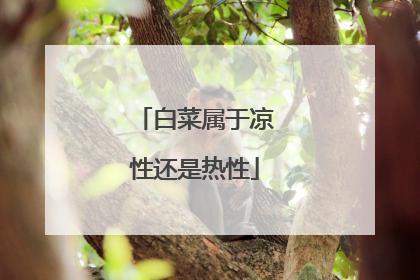 白菜属于凉性还是热性