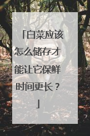 白菜应该怎么储存才能让它保鲜时间更长?