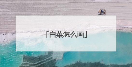 白菜怎么画