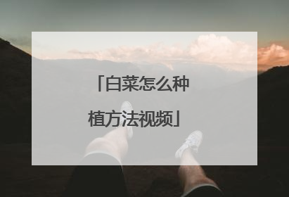 白菜怎么种植方法视频