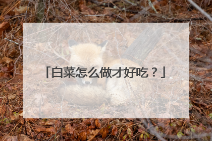 白菜怎么做才好吃?