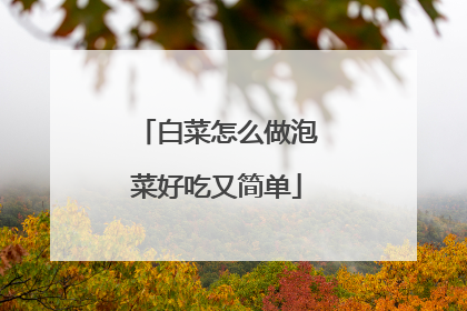 白菜怎么做泡菜好吃又简单