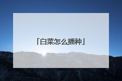 白菜怎么播种