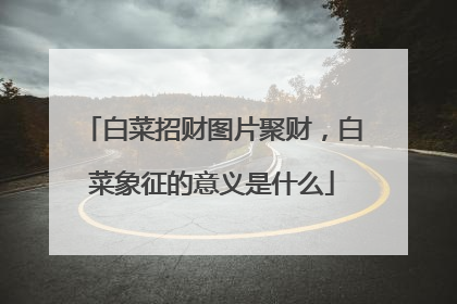 白菜招财图片聚财,白菜象征的意义是什么