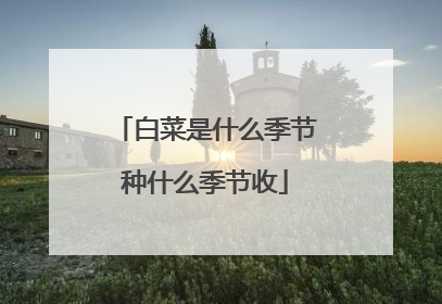 白菜是什么季节种什么季节收