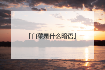 白菜是什么暗语