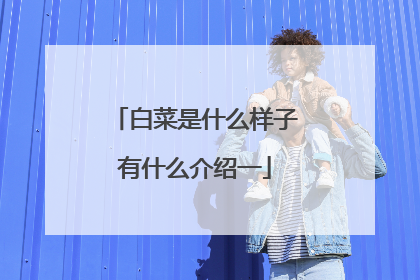 白菜是什么样子有什么介绍一