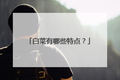 白菜有哪些特点?