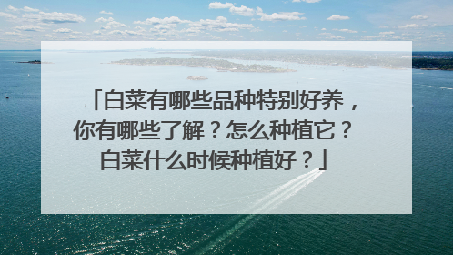 白菜有哪些品种特别好养,你有哪些了解?怎么种植它?白菜什么时候种植好?
