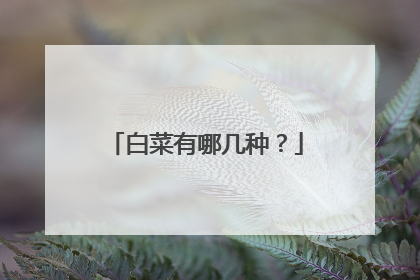 白菜有哪几种?